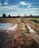 'Flooded Field' - Oil on Canvas