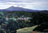 Mt. Tam 2 Landscape Oil Painting