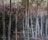 Painting of Point Reyes Woods