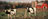 Two Cows and a Barn Landscape Painting